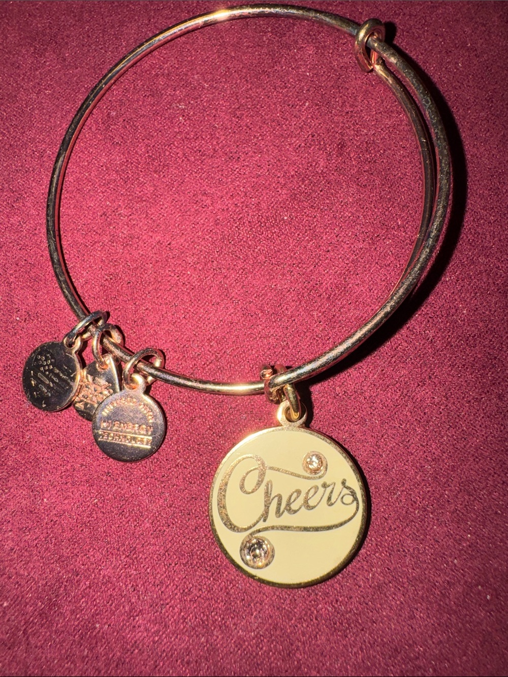 Alex and Ani Rose Gold Tone Charm Bangle Bracelet -Cheers